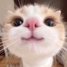alex alex profil fotoğrafı