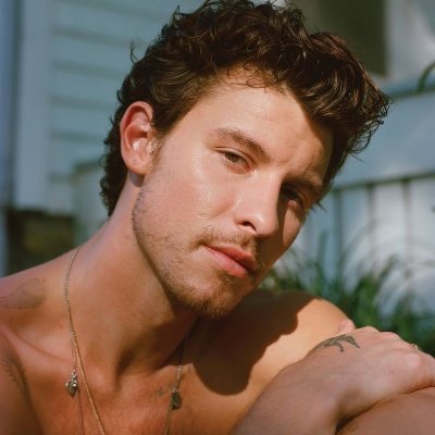 Shawn Squad Brasil's profile picture