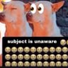 fwoop 的头像