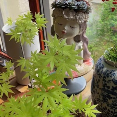 An Nhiên's profile picture