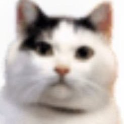 伊藤ロドリゲス's profile picture