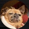 Profilbild von Pres.松田 茂