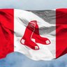 canadian sox fan's profile picture