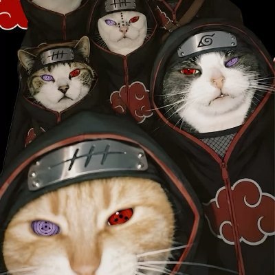 LORD AKATSUKI's profile picture