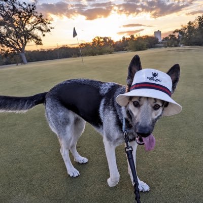 Golfingbrock's profile picture