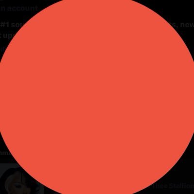 Stallion Hub's profile picture