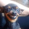sammy's profile picture