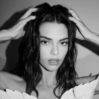 kendall jenner feeds's profile picture