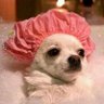 Profilbild von anxiousbaddie