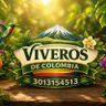 Фото профиля Viveros de Colombia
