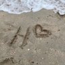 Hajar Alruwaili's profile picture