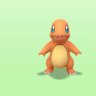 seni seçtim Charmander profil fotoğrafı