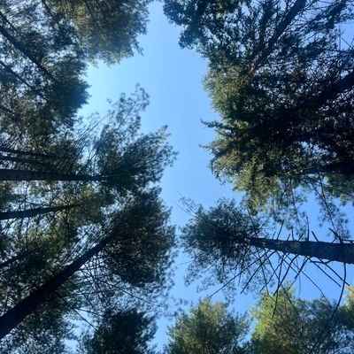 bunny_bitess's profile picture