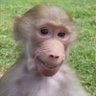Profilbild von kid named pubert