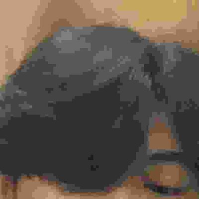 MiguelPilsy8q's profile picture