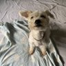 Profilbild von chop