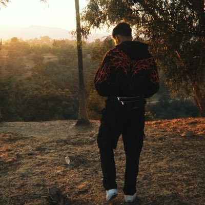 starh's profile picture