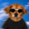 chris's profile picture