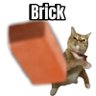 not dipper pines's profile picture