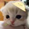 Profilbild von Jakeeee