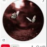 ma's profile picture