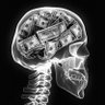 Money Psychology's profile picture