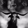Dripdamere's profile picture