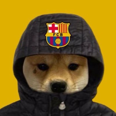 ankararaphinha's profile picture
