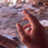 حارث's profile picture
