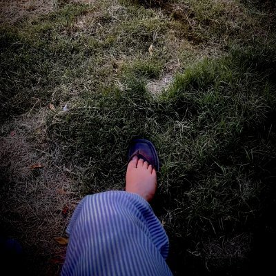 LaibaKhan1196's profile picture
