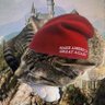 Kirkified Chud's profile picture