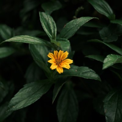 𝐰𝐞𝐩𝐞🌻's profile picture