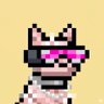 Profilbild von Aim