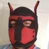 pup boi's profile picture