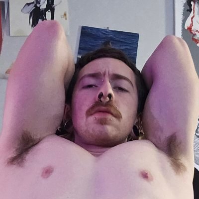 cattomcgriddl3's profile picture