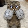 JonYe 🧲 profil fotoğrafı