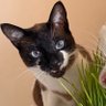 Фото профиля CRIME OCORE NADA ACOTECE FEIJOADA
