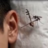 Arquivo Real 的头像