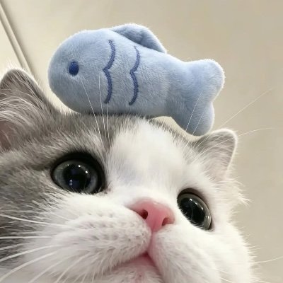ramenbs_'s profile picture