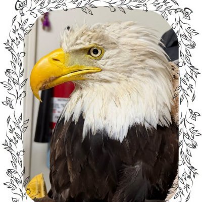 jodikyman's profile picture