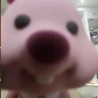 BAKIBAKIULTMATE's profile picture