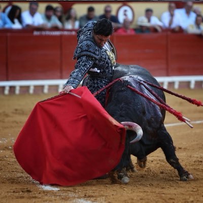 TercioQuites's profile picture