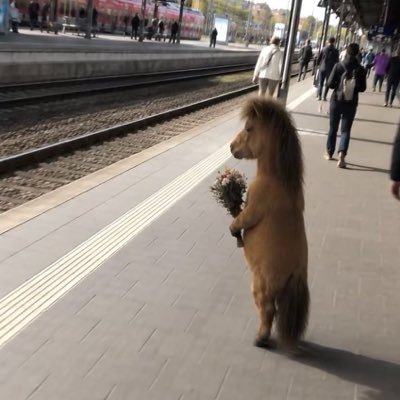 มายมี่ อยู่ได้ ได้อยู่'s profile picture