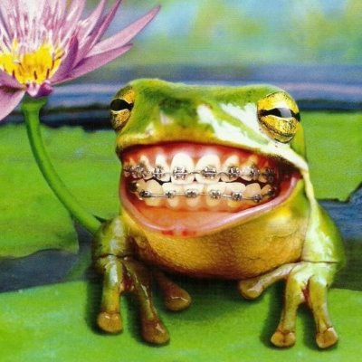 bobonilson's profile picture