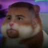 Drippycat's profile picture