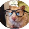El Roedor ahorrador 🐹🥇 的头像