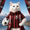 Profilbild von VansporunDabancası