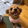 Profilbild von あーちゃん