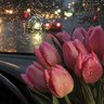 𝘼𝙨𝙝𝙬𝙖𝙦 profil fotoğrafı