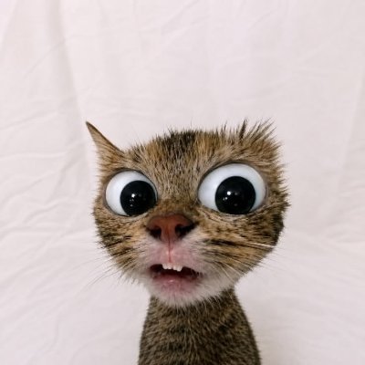 kasiandehlu88's profile picture